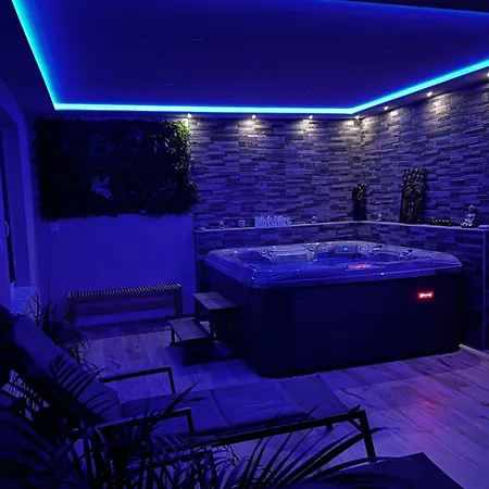 Apartment Zen&spa Avec Jacuzzi Et Sauna Privatif Ranspach-le-Bas